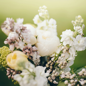 Spring Collection – Amara Parfums